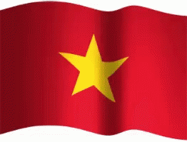 Vietnam Flag